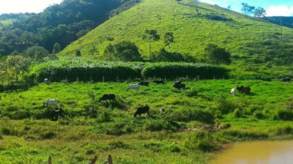 Fazenda, 41 hectares - Foto 8