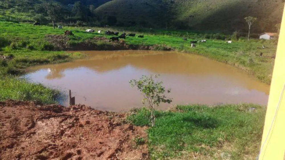 Fazenda, 41 hectares - Foto 5