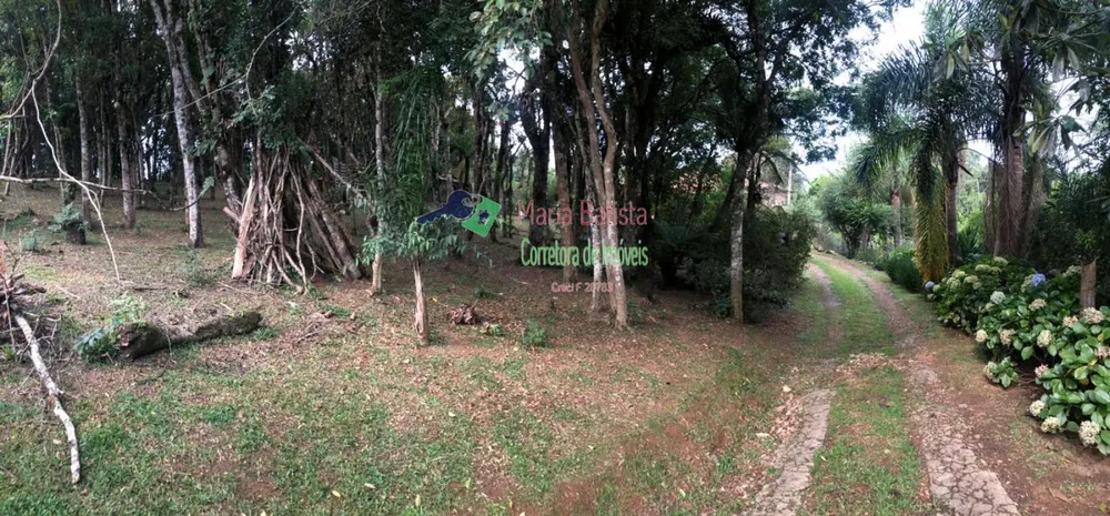 Chácara, 4 quartos, 290 m² - Foto 15