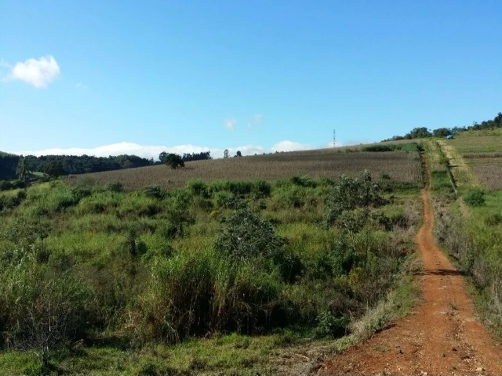 Terreno - Foto 4