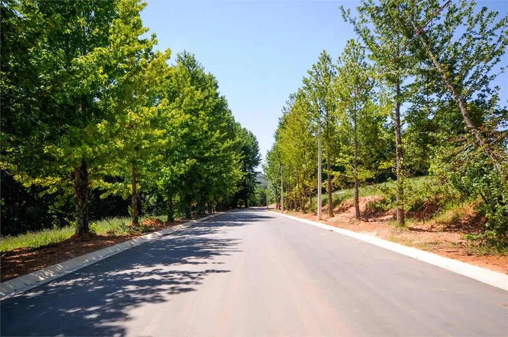 Terreno, 1000 m² - Foto 4