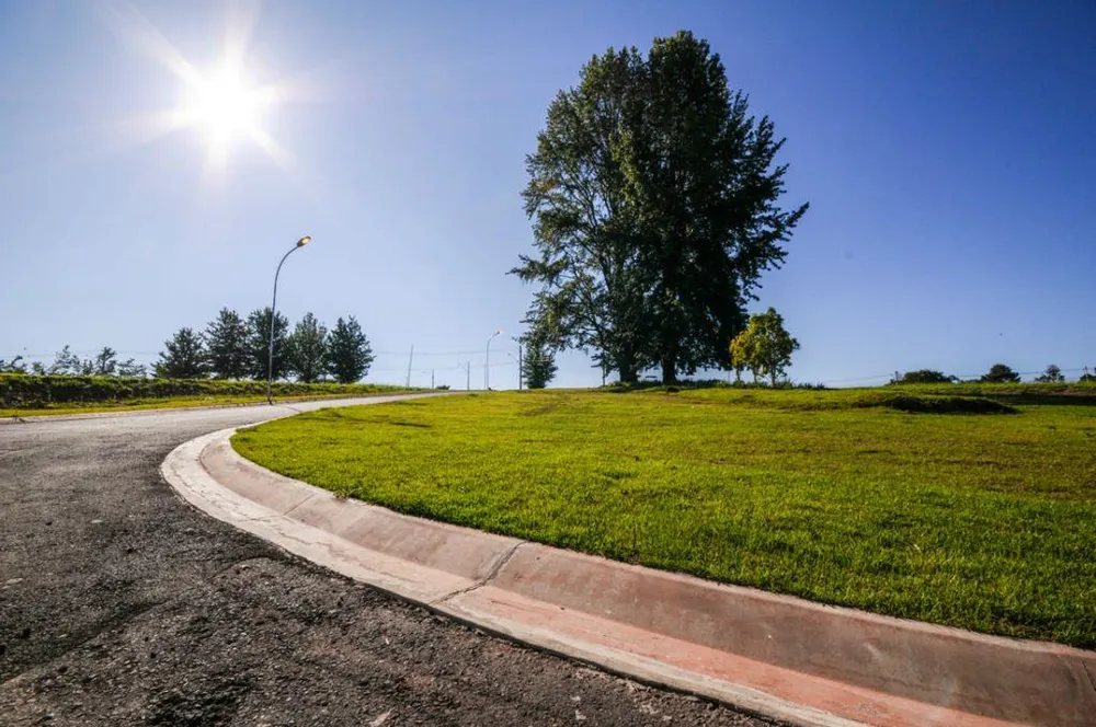 Terreno, 1000 m² - Foto 1