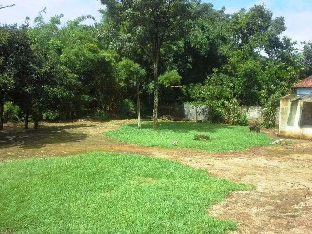 Sítio, 3 quartos, 6000 m² - Foto 3