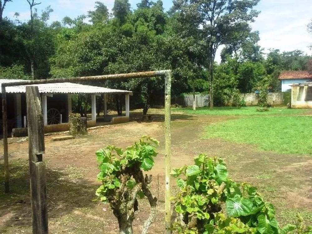 Sítio, 3 quartos, 6000 m² - Foto 2