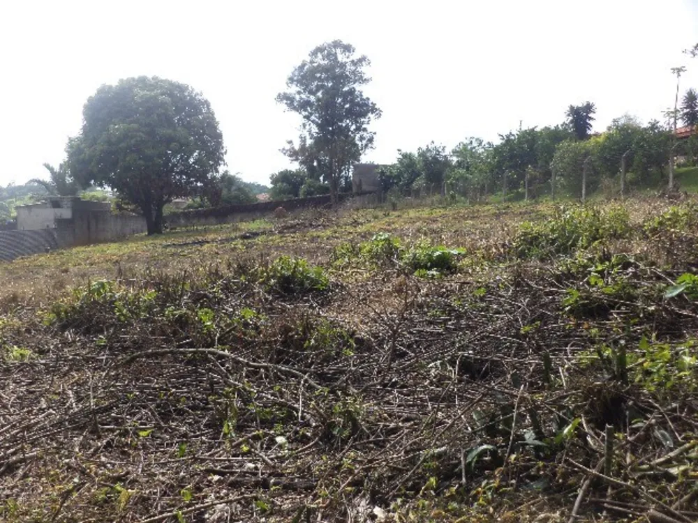 Terreno, 2400 m² - Foto 3