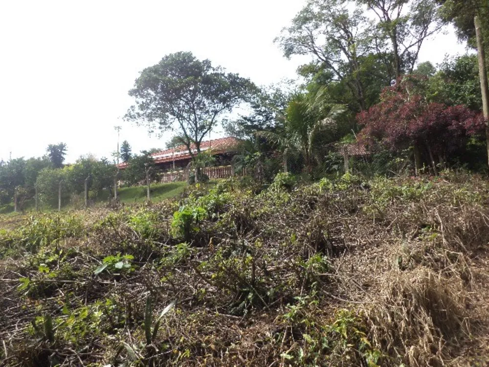 Terreno, 2400 m² - Foto 4