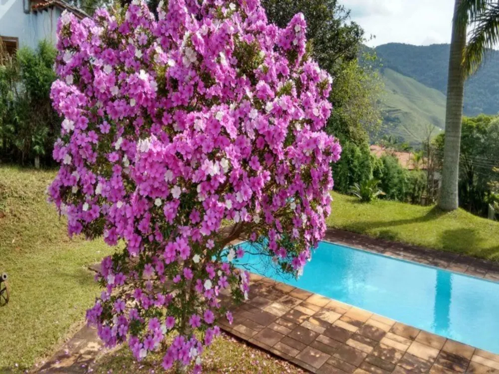 Chácara, 3 quartos, 2900 m² - Foto 2