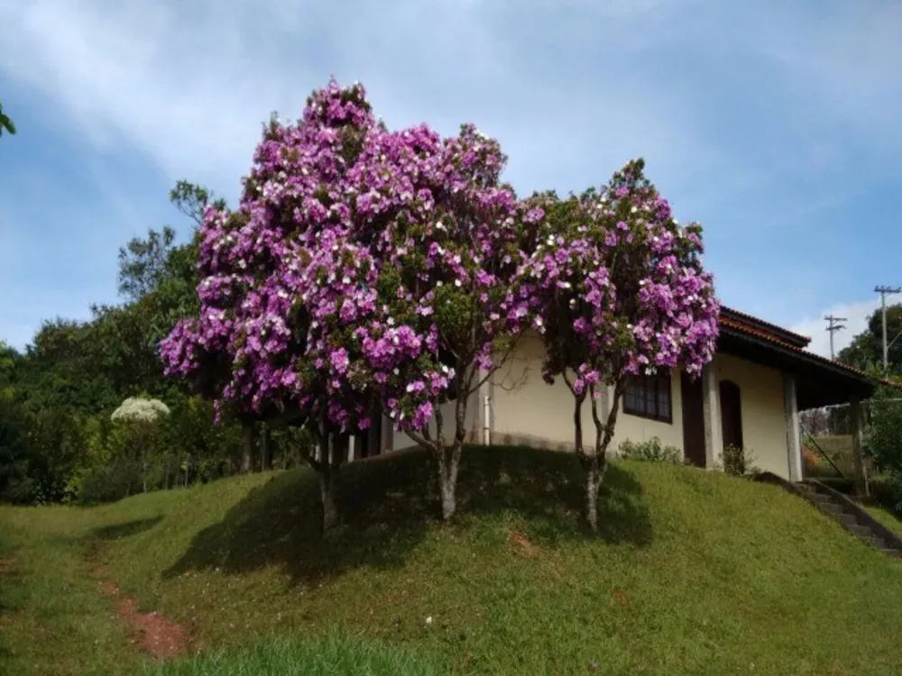 Chácara, 3 quartos, 2900 m² - Foto 4