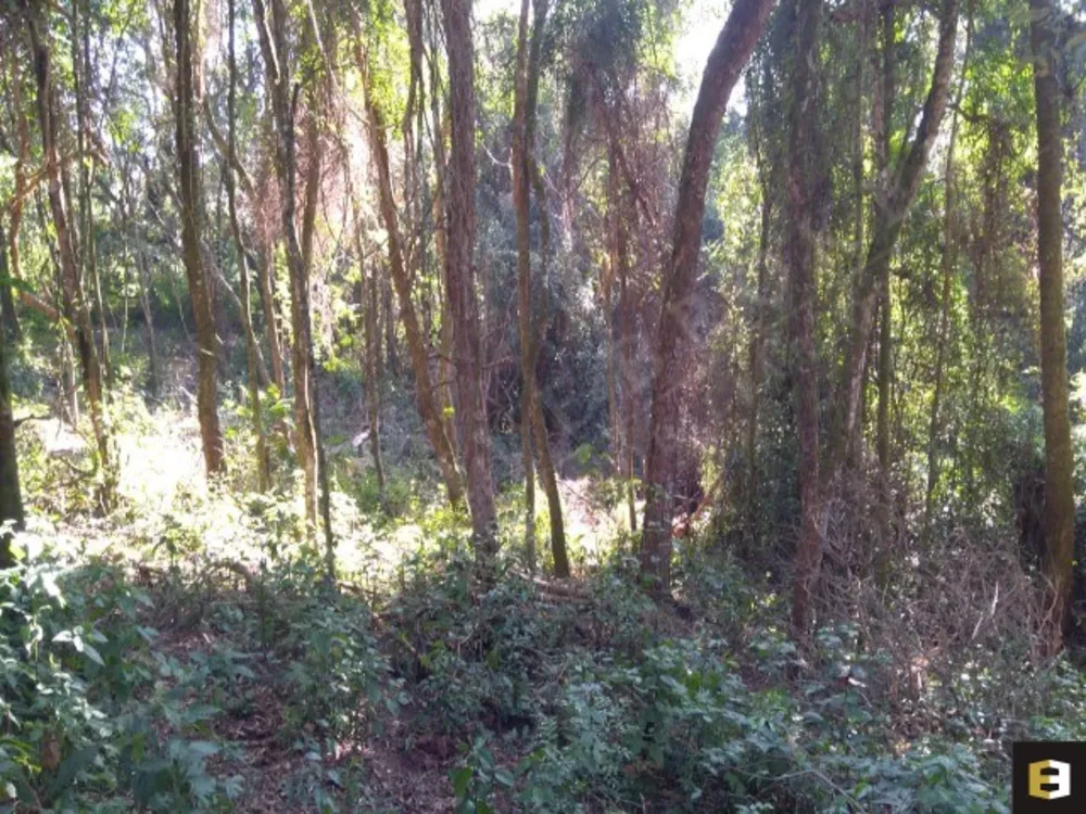 Terreno, 1800 m² - Foto 1