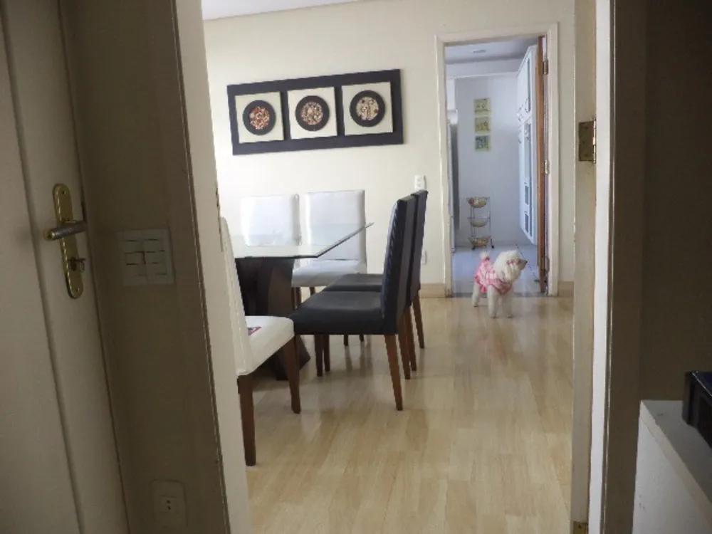 Casa, 3 quartos, 320 m² - Foto 3