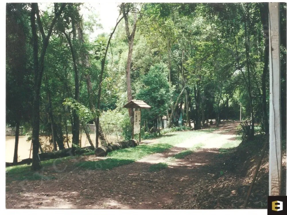 Sítio, 3 quartos, 10 hectares - Foto 4