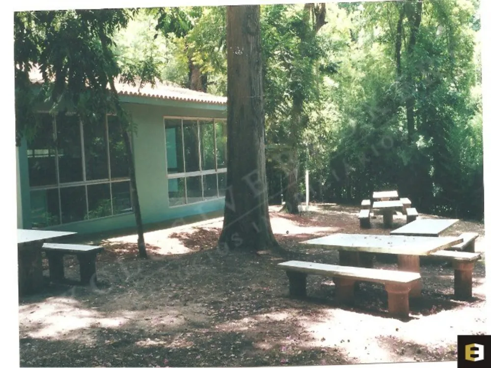 Sítio, 3 quartos, 10 hectares - Foto 1