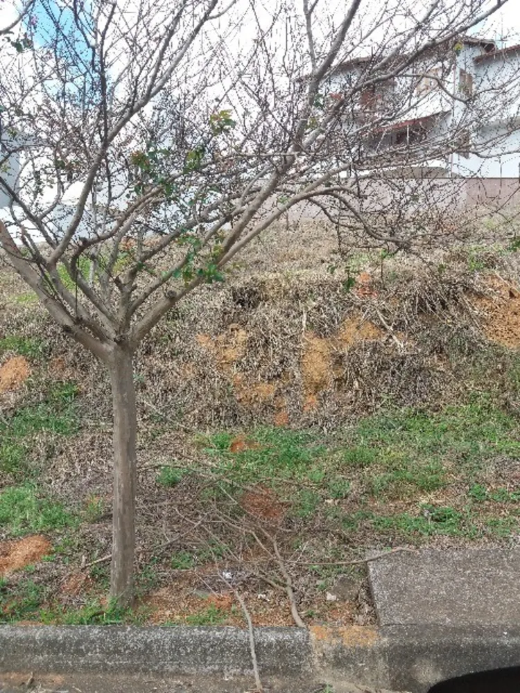 Terreno, 496 m² - Foto 4