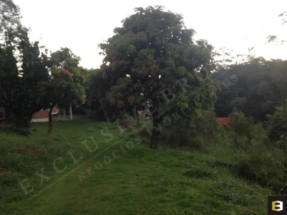 Terreno, 3800 m² - Foto 3
