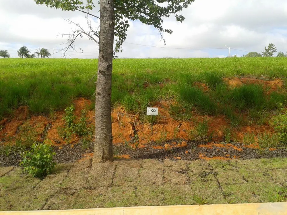Terreno, 1000 m² - Foto 1