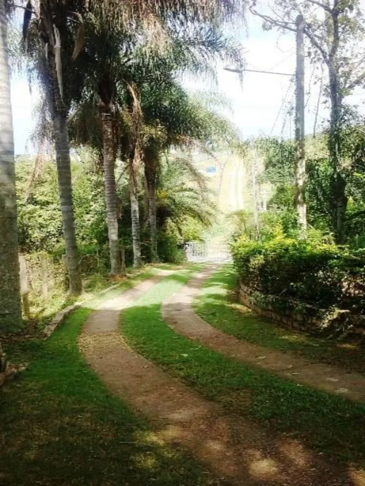 Sítio, 8 quartos, 3 hectares - Foto 1