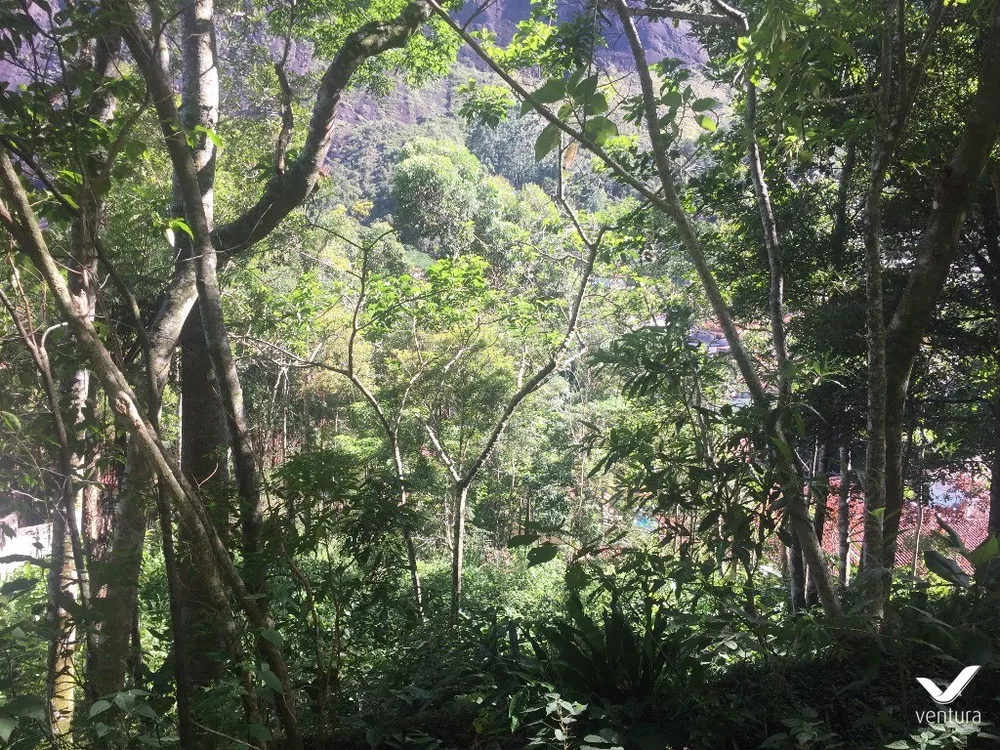 Terreno, 1174 m² - Foto 5