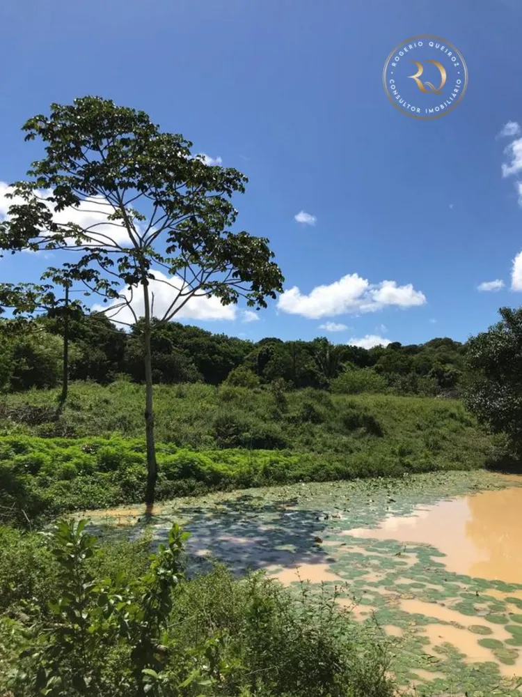 Fazenda, 4000 m² - Foto 2
