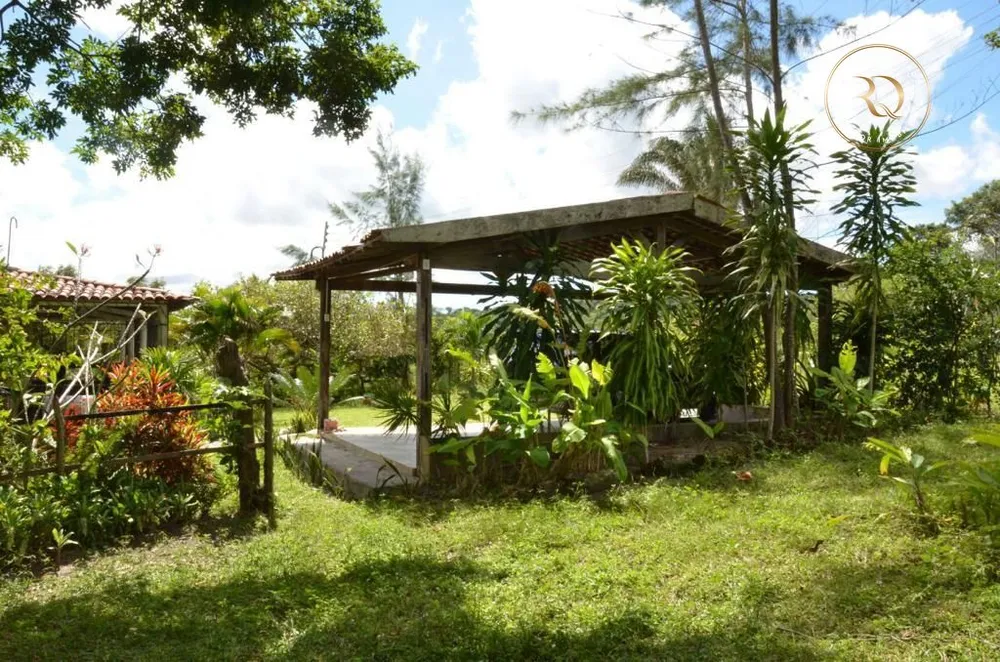 Fazenda, 4000 m² - Foto 4