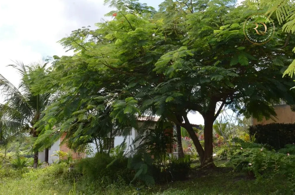 Fazenda, 4000 m² - Foto 1