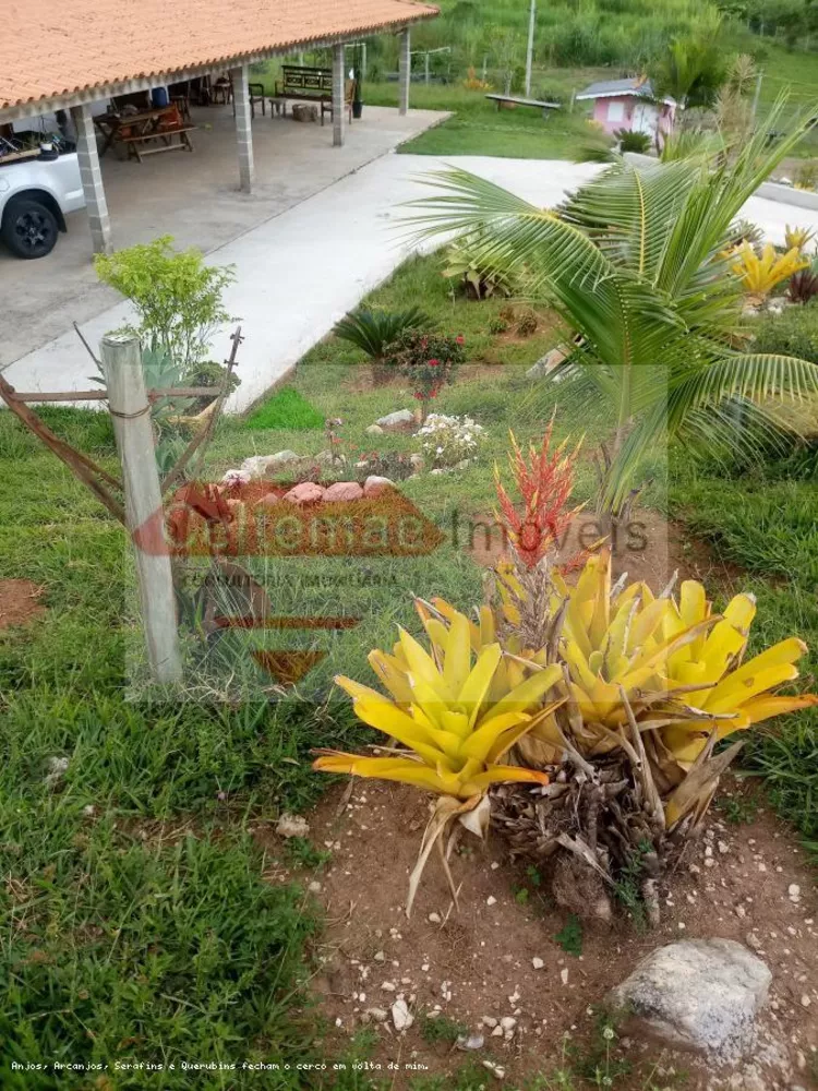 Sítio, 4 quartos, 7 hectares - Foto 4