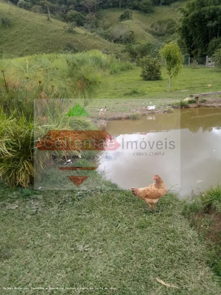 Sítio, 4 quartos, 7 hectares - Foto 14