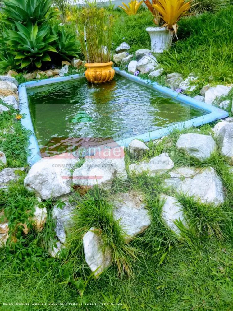 Sítio, 4 quartos, 7 hectares - Foto 12