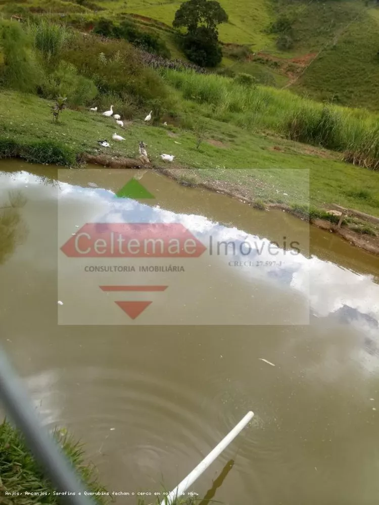 Sítio, 4 quartos, 7 hectares - Foto 13