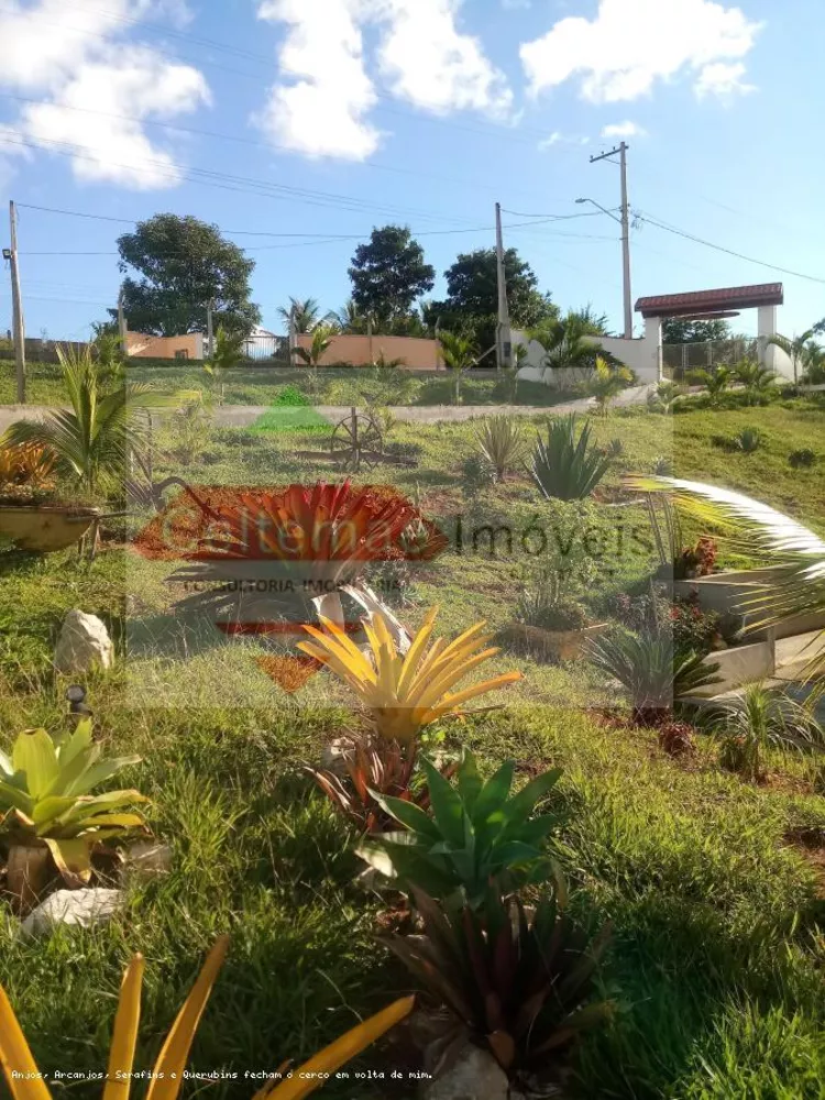 Sítio, 4 quartos, 7 hectares - Foto 9