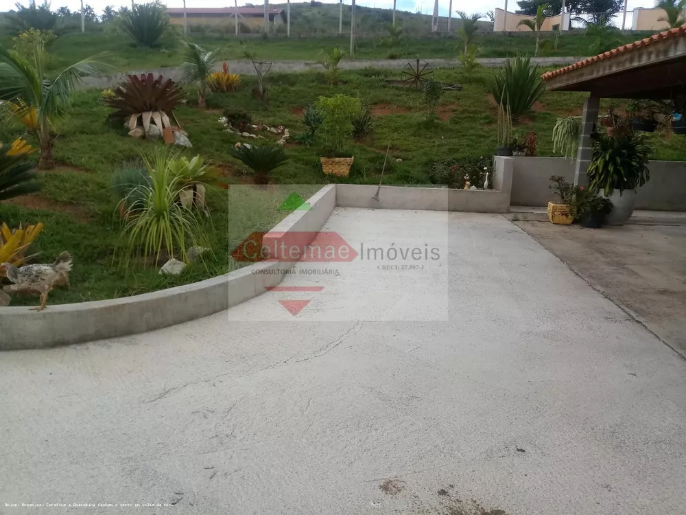 Sítio, 4 quartos, 7 hectares - Foto 1