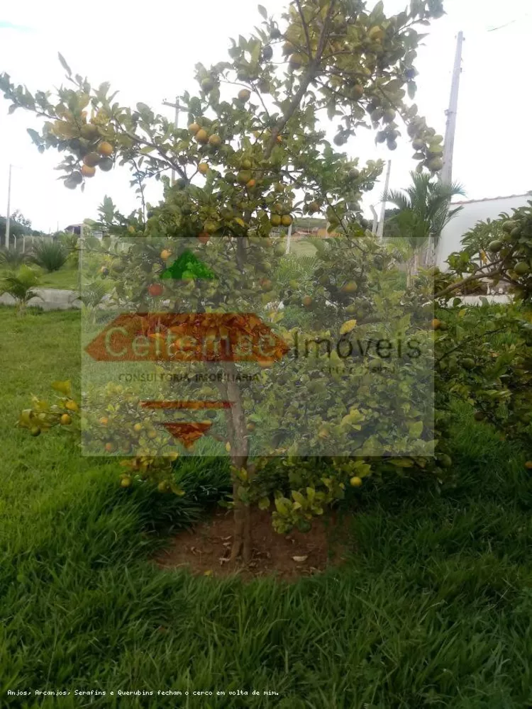 Sítio, 4 quartos, 7 hectares - Foto 18