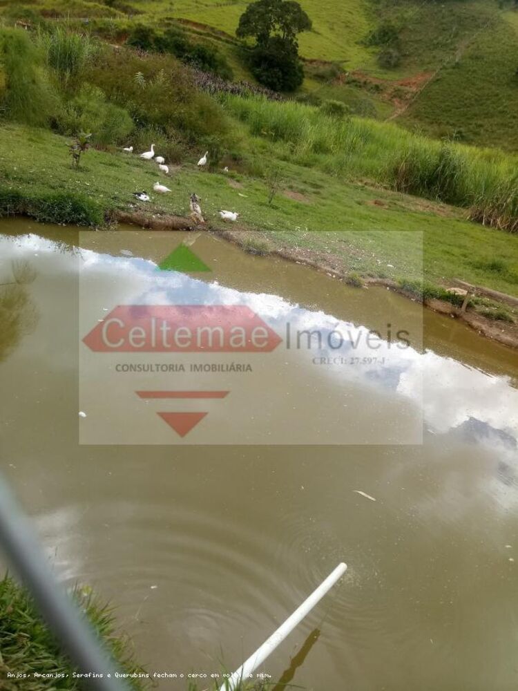 Sítio, 4 quartos, 7 hectares - Foto 26