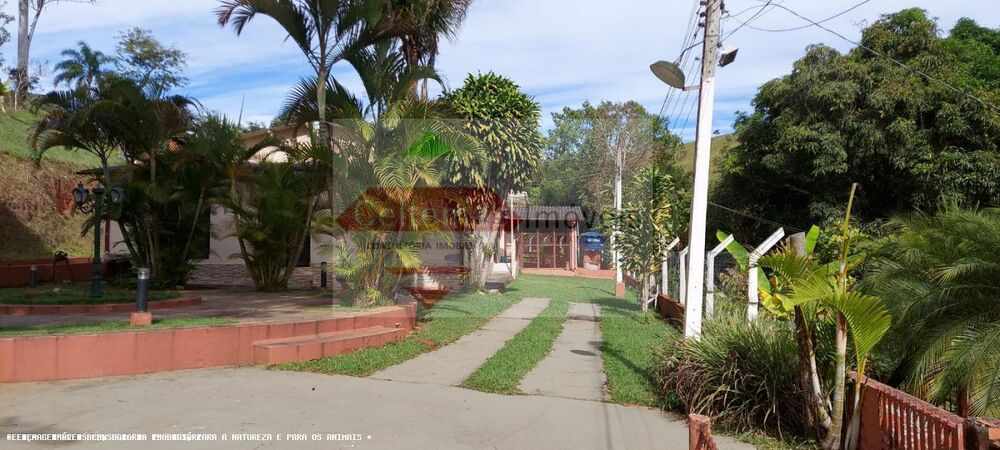 Sítio, 7 quartos, 9 hectares - Foto 4