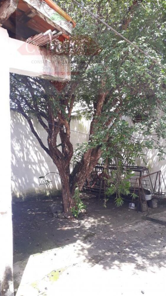 Casa, 5 quartos, 300 m² - Foto 18