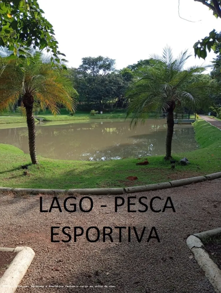 Terreno, 508 m² - Foto 6