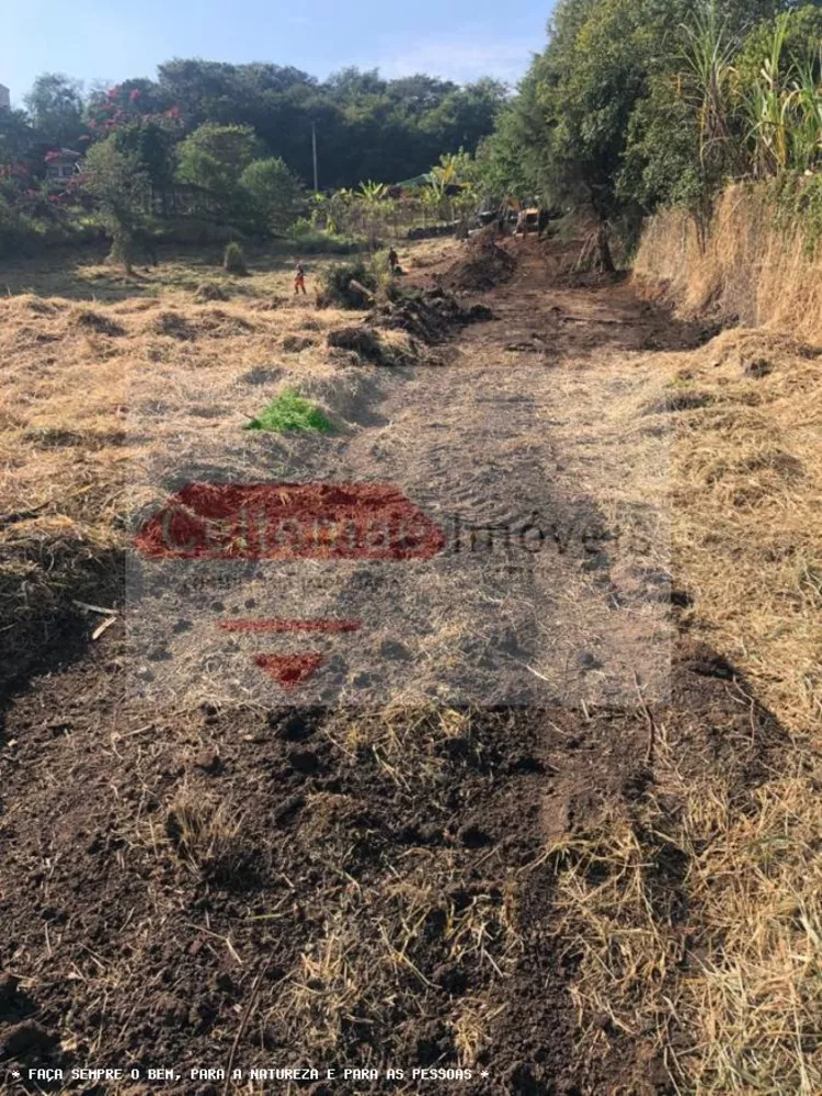 Terreno, 8000 m² - Foto 5