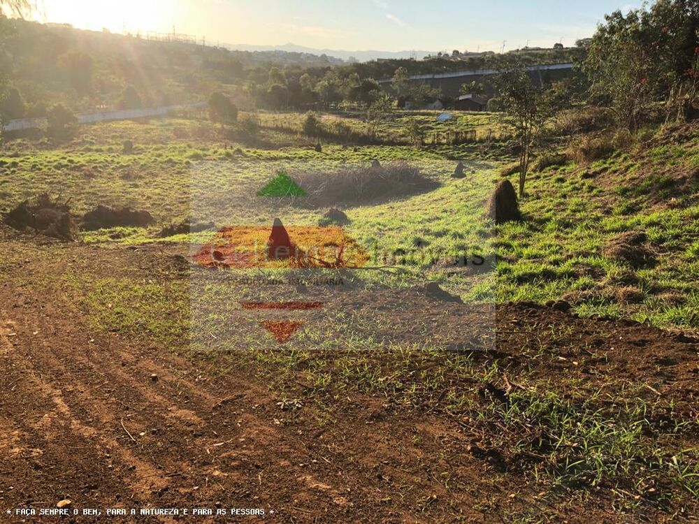 Terreno à venda, 8000m² - Foto 2