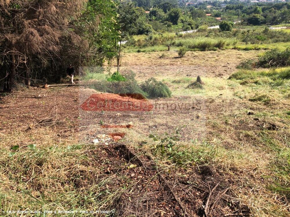 Terreno à venda, 8000m² - Foto 5