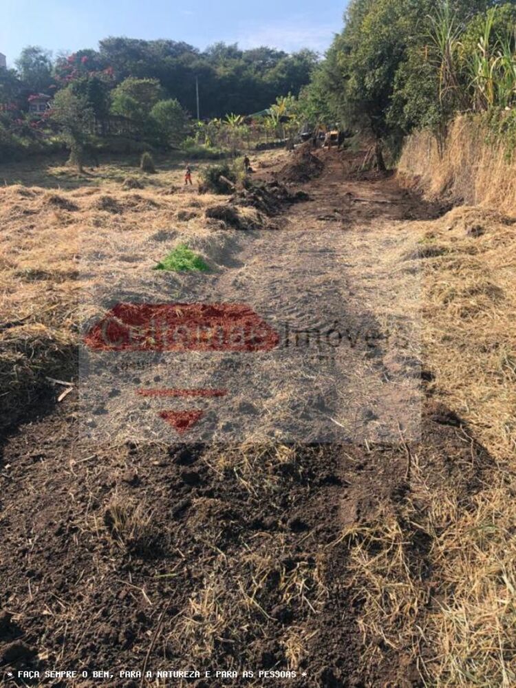 Terreno à venda, 8000m² - Foto 3