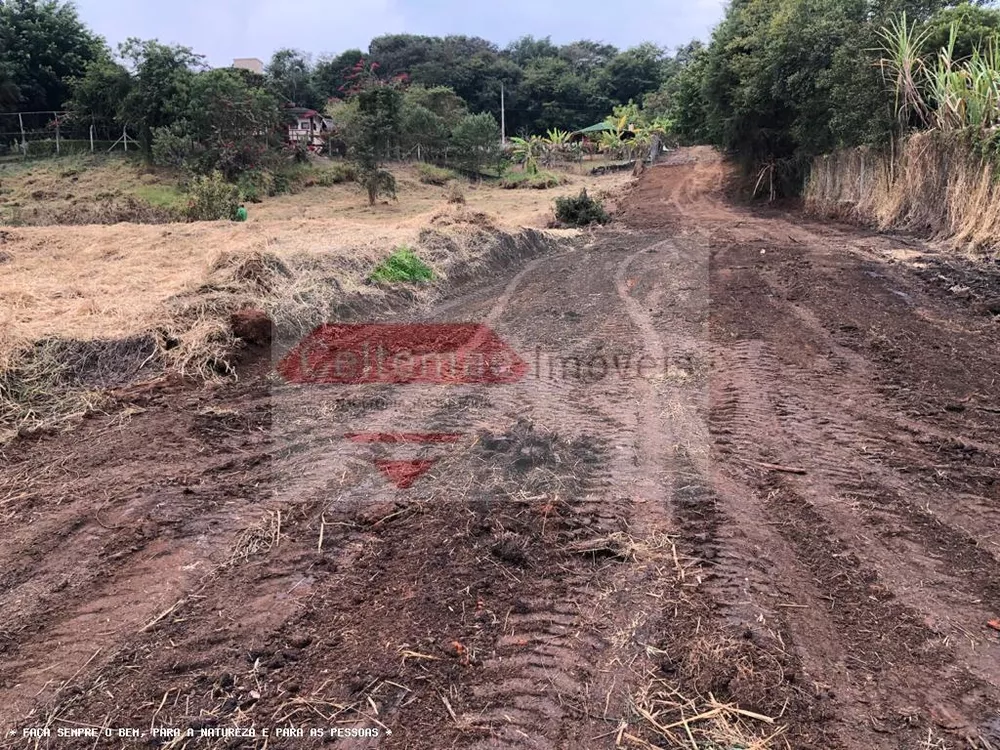Terreno, 8000 m² - Foto 2