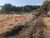 Terreno, 8000 m² - Foto 1