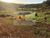 Terreno, 8000 m² - Foto 2