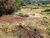 Terreno, 8000 m² - Foto 5