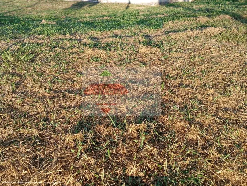 Terreno, 481 m² - Foto 6