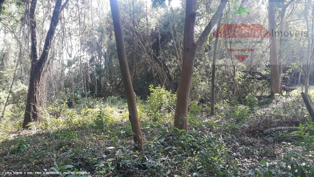 Sítio, 2 hectares - Foto 12