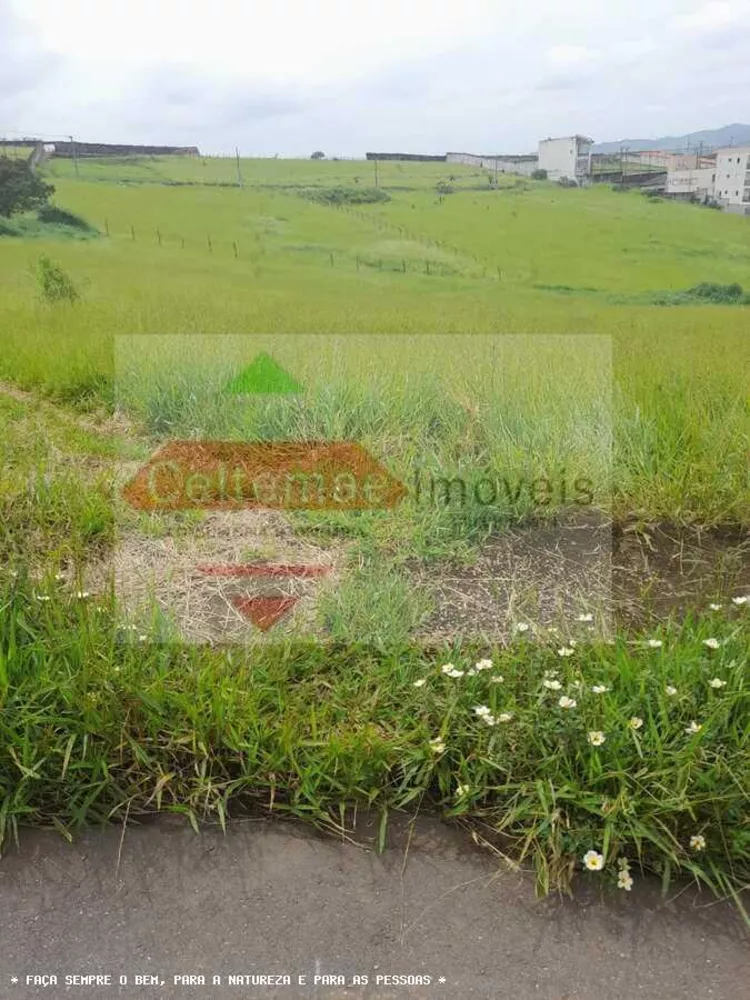 Terreno, 5040 m² - Foto 4