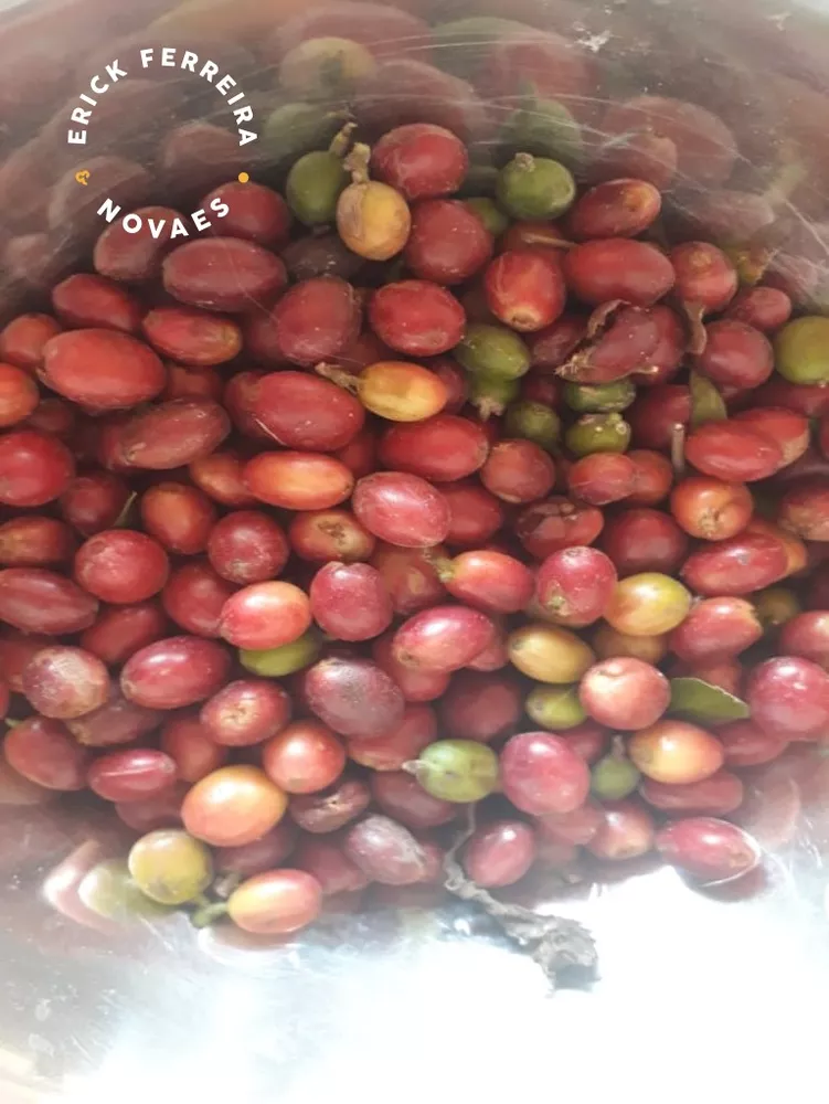 Chácara, 2 quartos - Foto 18