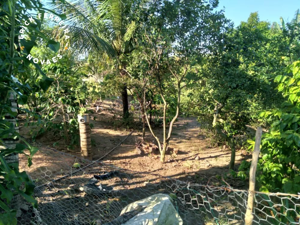 Chácara, 2 quartos - Foto 5