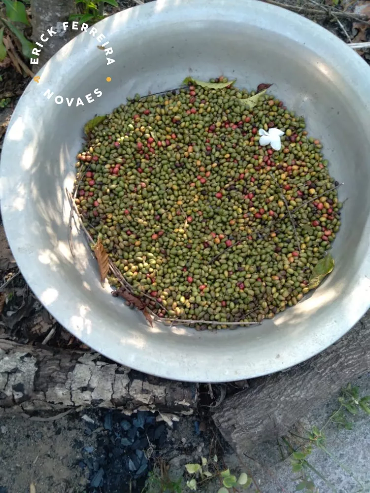 Chácara, 2 quartos - Foto 12