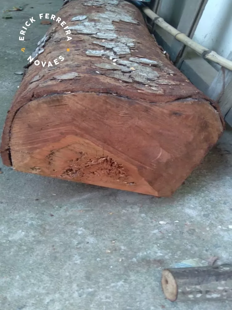 Chácara, 2 quartos - Foto 17